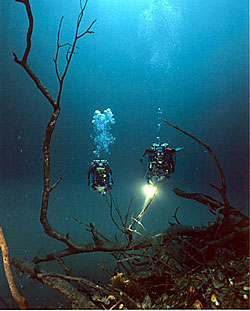 cenote diving playa del carmen mexico